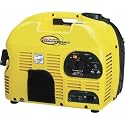Northern Industrial Portable Generator - 1000 Surge Watts, 900 Rated Watts