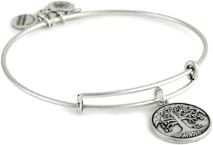 Alex and Ani Bangle Bar 