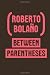 Between Parentheses: Essays, Articles and Speeches, 1998-2003