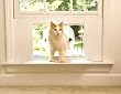 Cat Windoor