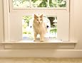 Cat Windoor