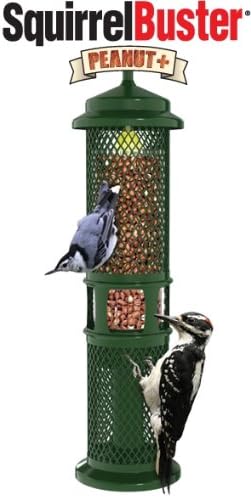 Brome Bird Care BD1052 Squirrel Buster Peanut + (Set of 1)