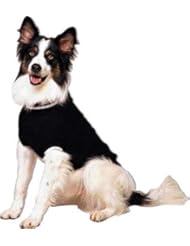 Pet Products: Fashion Pet Lookin Good Classic Cable Sweater for Dogs, X-Large, Black - Ethical Products/Fashion Pet