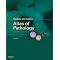 My Pathology Bible(s)