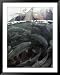 A Fishing Boat Pulls in a Seine Net Filled with Chum Salmon Framed Art Poster Print by Bill Curtsinger, 39x49
