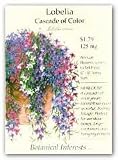 "Cascade of Color" Lobelia Heirloom 350 Seeds