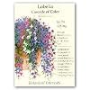 "Cascade of Color" Lobelia Heirloom 350 Seeds