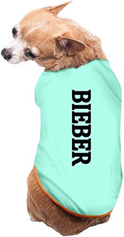 Jade Cool Pop Singer Bieber Puppies And Dog Tee SkyBlue Size L
