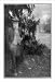 Historic Print (L): [John Burroughs, author and naturalist, full-length portrait, sta...