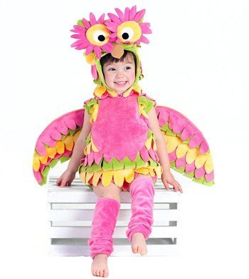 Holly Owl Halloween Costume 18-2T