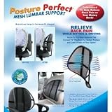 Posture Perfect Mesh Lumbar Support
