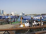dubai creek Abras, Small River Taxis That Transport People Across the Creek, Deira, Dubai, United Arab Emirates Photographic Poster Print by Amanda Hall, 18x24