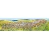 Das grosse Alpenpanorama Sommer, Poster