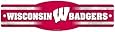 NCAA Wisconsin Badgers 4.5-by-17 Sign