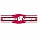 NCAA Wisconsin Badgers 4.5-by-17 Sign