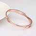 LEKANI Women Fashion Jewelry Alloy Crystals 18K Rose Gold Plated Bangle Bracelets