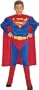 Super DC Heroes Deluxe Muscle Chest Superman Child's Costume, Small
