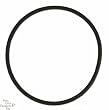 PhosBan Phosphate Reactor 150 O-Ring