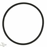 PhosBan Phosphate Reactor 150 O-Ring