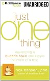 Just One Thing: Developing a Buddha Brain One Simple Practice at a Time