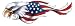 Pilot Automotive USA Bald Eagles