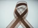Brown Organza and Satin Ribbon 1.5" Wide 25 Yards