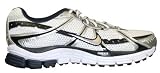 Nike Playground Free (Kids) (12c Preschool US, Mtllc Slvr/Orng Blz-Cl Grey-Blc)