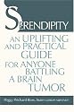 Serendipity: An Uplifting and Practical Guide for Anyone Battling a Brain Tumor
