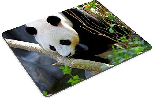 Mousepads Giant Panda walking in the wild IMAGE 20894112 by MSD Mat Customized Desktop Laptop Gaming Mouse Pad
