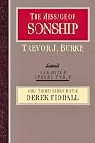 The Message of Sonship (The Bible Speaks Today: Bible Theme Series)