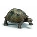 Schleich 14601  - Wild Life, Riesenschildkr�te