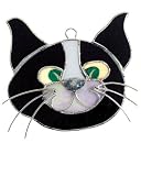 Black & White Cat