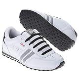 DVS Men's Volari