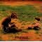 �����m�֘A��