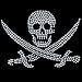 Women's Sweatshirt : Pirate Skull and Crossed Swords - Embellished Rhinestones