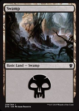 Magic: the Gathering - Swamp (258/264) - Dragons of Tarkir - Foil