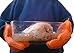 BBQ Set - Silicone BBQ Gloves (1 Pair) Plus Meat Handlers (1 Pair) * BBQ Gift Set Includes 2 Premium Products a Pair of Caveman Meat Claws and a Pair of Heat Resistant Cooking Gloves