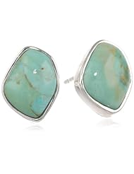 Barse "Basics" Genuine Turquoise Abstract Post Earrings