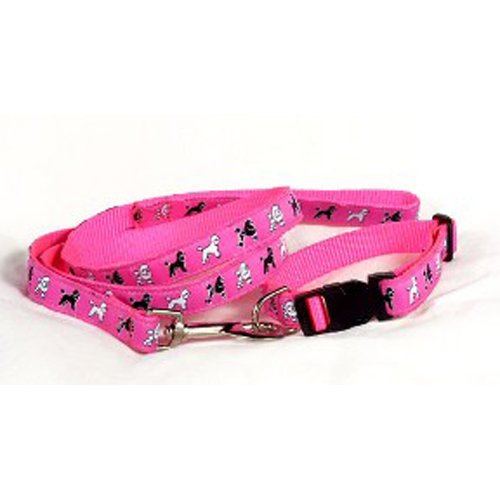 pink collar and lead