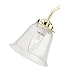 41Ysk8i6OYL. SL75  Sea Gull Lighting 1648 15 One Light Ceiling Fan Light Kit, White Finish with White Glass