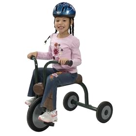 Alpine Ranger Trike - 12