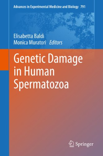 Genetic Damage in Human Spermatozoa: 791 (Advances in Experimental Medicine and Biology)