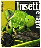 Insetti e ragni