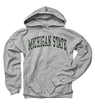 Michigan State Spartans Youth Grey Arch Hooded Sweatshirt