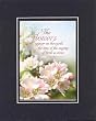 For General Inspiration - The flowers appear on the earth; . . . 8 x 10 Inches Biblical/Religious Verses set in Double Beveled Matting - A Timeless and Priceless Poetry Keepsake Collection