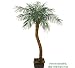 7' Artificial Phoenix Coconut Palm Tree with Bendable Trunk, with No Pot