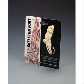 Foot + Ankle Key Ring (7035SP) - Quantity of 6