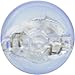 Sylvania 194 ST SilverStar High Performance Halogen Miniature Lamp, (Pack of 2)