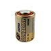 Lenmar WCLR25A LR25A Alkaline Button Type Battery