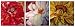 Wall Canvas 20x20 Set of 3 Peony on Red/Red Peony/Sunflower